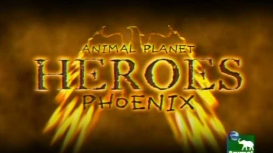 Музыка из рекламы Animal Planet Heroes