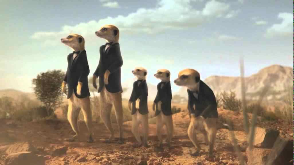 Музыка из рекламы Renault Koleos - Meerkats Музыка из рекламы Renault Koleos - Meerkats