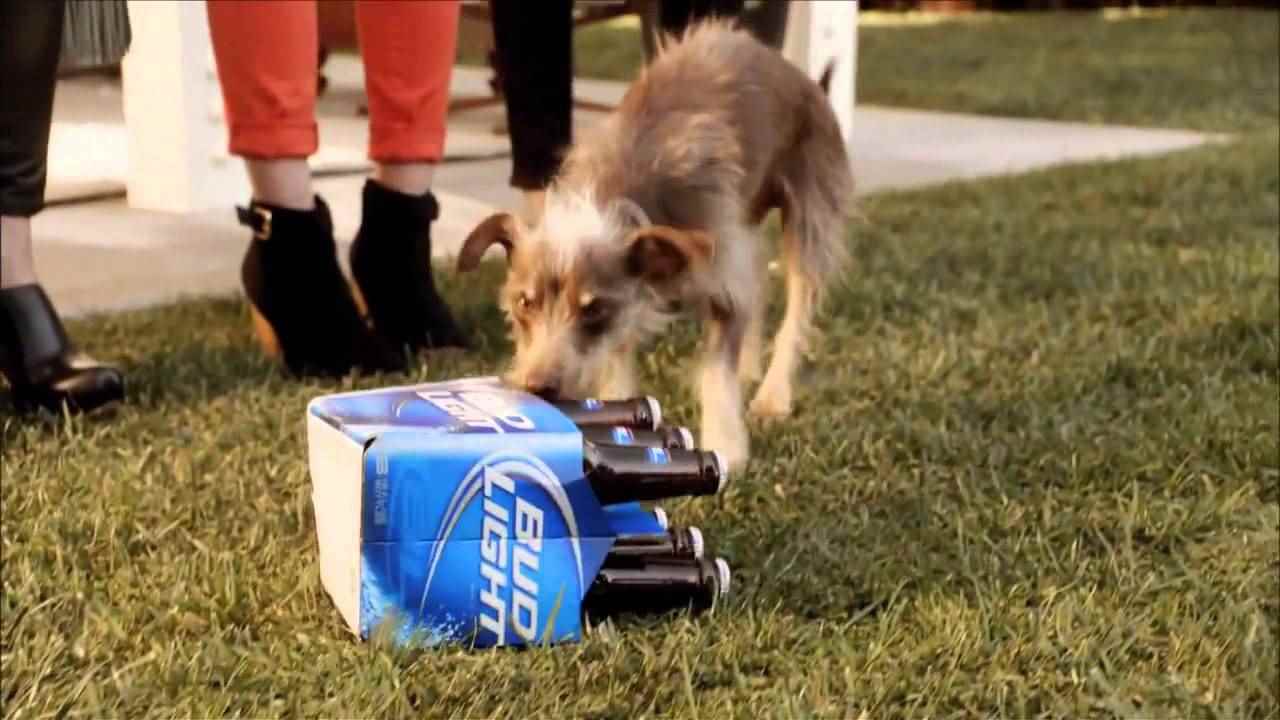 Музыка из рекламы Bud Light - Rescue Dog