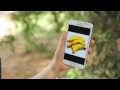 Музыка и видеоролик из рекламы Samsung Galaxy Note - Elephant Plays