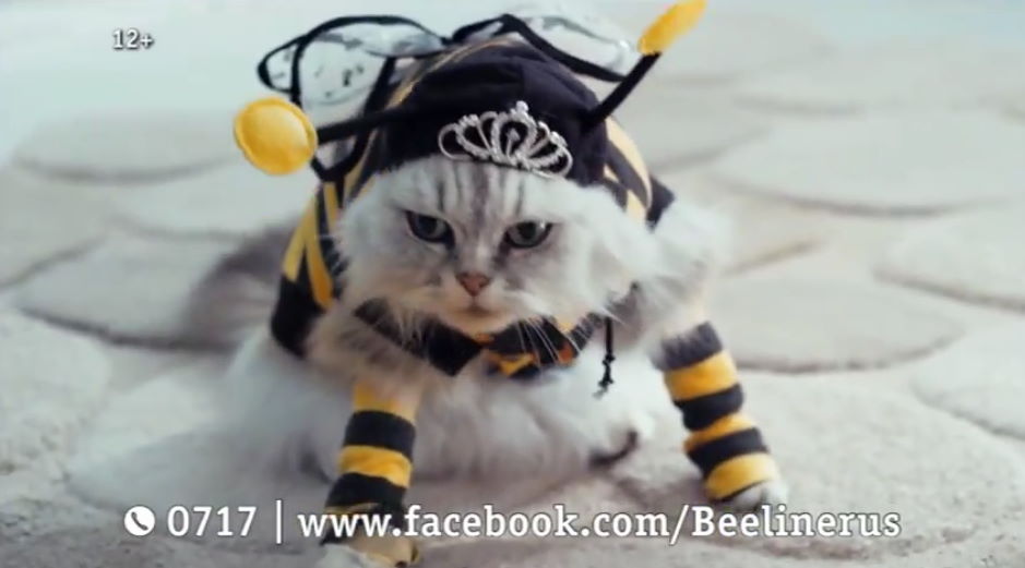 Музыка и видеоролик из рекламы Билайн - Бесплатный доступ к Facebook от «Билайн» Музыка и видеоролик из рекламы Билайн - Бесплатный доступ к Facebook от «Билайн»
