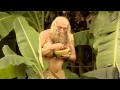 Музыка и видеоролик из рекламы Nestea - Jungle Man