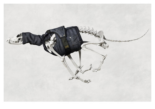 Музыка и видеоролик из рекламы The Art or RAW - The Unlimited Possibilities of Denim Музыка и видеоролик из рекламы The Art or RAW - The Unlimited Possibilities of Denim