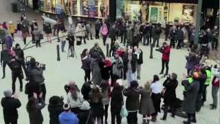 Музыка и видеоролик из рекламы Bing Is For Doing - Marriage Proposal Flashmob