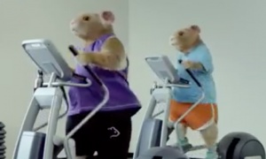 Музыка из рекламы Kia Soul - Hamster