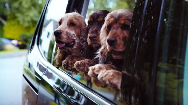 Музыка и видеоролик из рекламы Volkswagen - There's a Volkswagen for all of us Музыка и видеоролик из рекламы Volkswagen - There's a Volkswagen for all of us