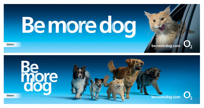 Музыка и видеоролик из рекламы O2 4G - Be more dog Музыка и видеоролик из рекламы O2 4G - Be more dog