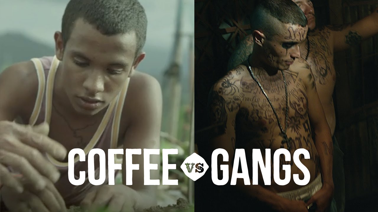 Музыка из рекламы Kenco - Coffee vs Gangs