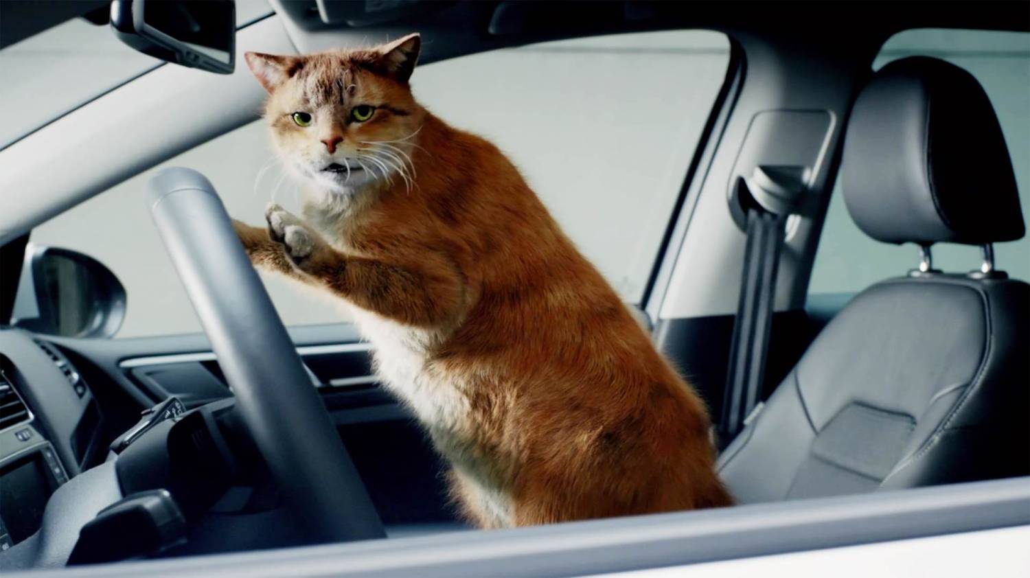 Музыка и видео из рекламы Volkswagen - Cat