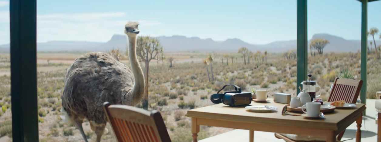 Музыка из рекламы Samsung - Ostrich