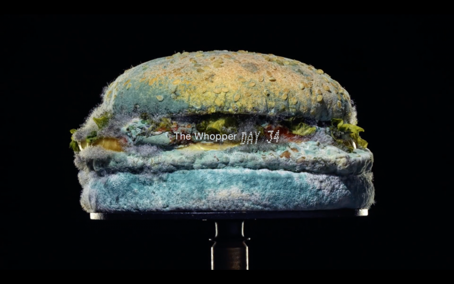 Музыка из рекламы Burger King - The Moldy Whopper