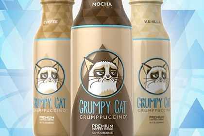 Владельцы Сердитого котика выпустят напиток Grumppuccino