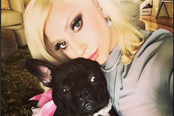 Леди Гага создаст линию одежды и кормов для собак