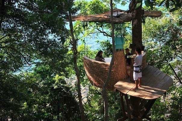 Ресторан на деревьях в Тайланде