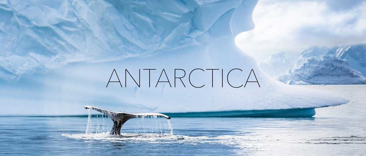 Захватывающее видео Антарктики