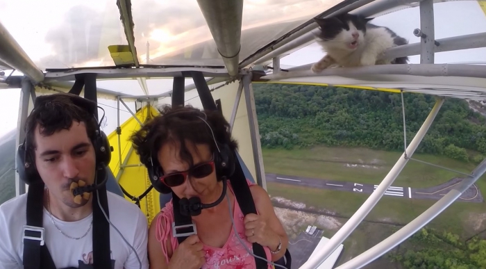 "Летающий кот" покорил мировые медиа