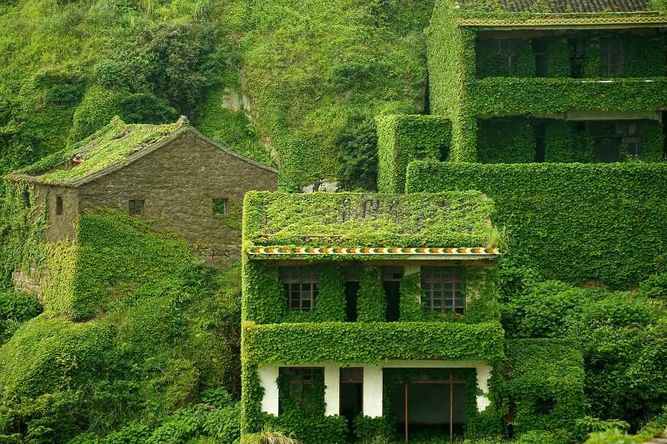 Зеленый город-призрак на острове Shengshan