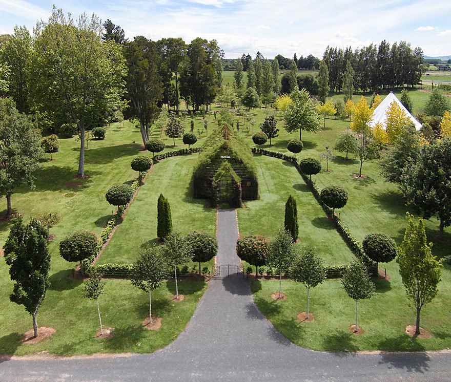 Новозеландец вырастил церковь у себя в саду