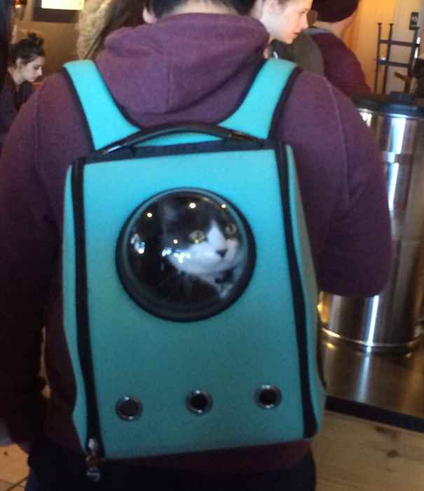 Рюкзак-переноска с иллюминатором для котов