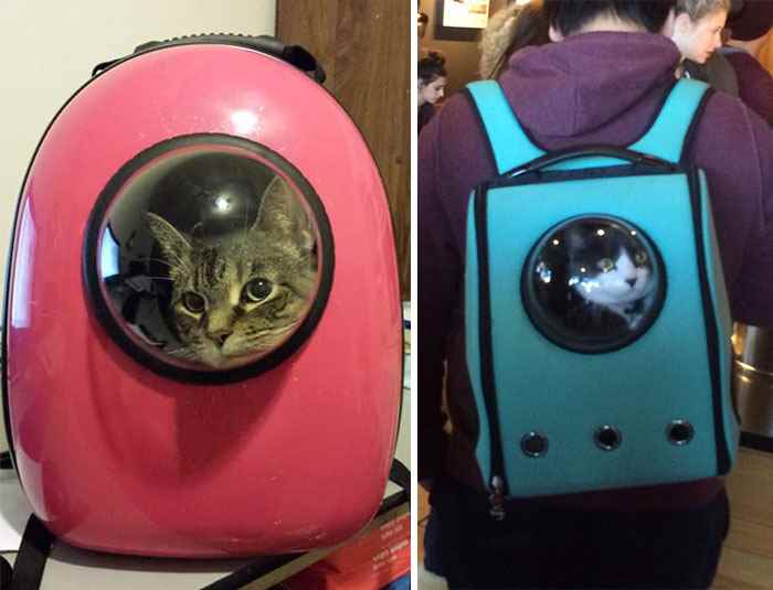 Рюкзак-переноска с иллюминатором для котов