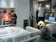 ФАС запретила рекламу IKEA за призыв к нарушению ночной тишины