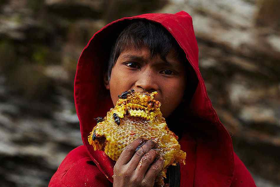 Древняя непальская традиция охота за медом