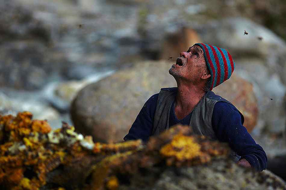 Древняя непальская традиция охота за медом