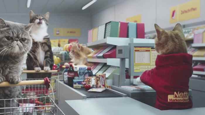 Все кошачьи мемы в рекламе немецкого супермаркета
