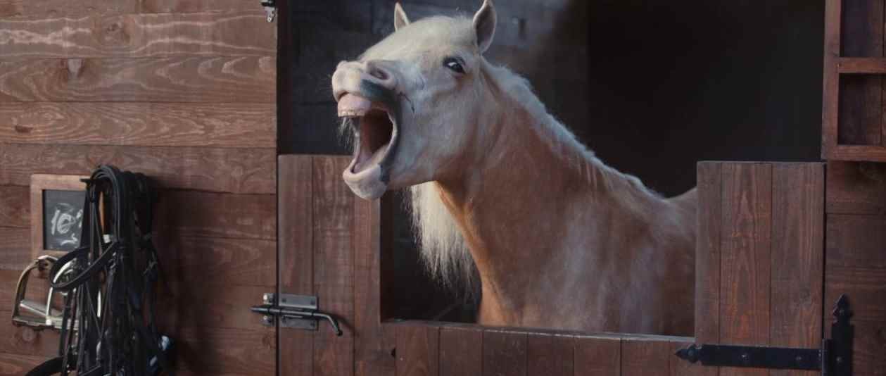 Лошади попадали от смеха в рекламе Volkswagen
