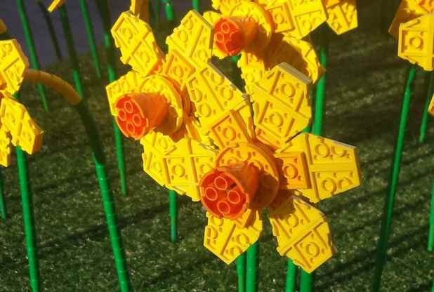 В Британии появилась поляна из Lego-нарциссов.