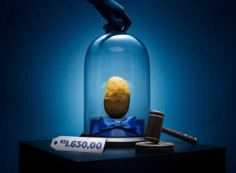 В Бразилии выставили картофелину на аукцион