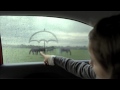 Музыка и видеоролик из рекламы Kia Range - I Like It