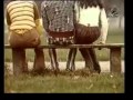 Музыка и видеоролик из рекламы Levi's - Walking Behinds. Музыка и видеоролик из рекламы Levi's - Walking Behinds.