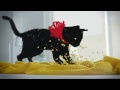 Музыка и видеоролик из рекламы Target - Jason Wu