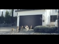 Музыка и видеоролик из рекламы Volkswagen Golf - Rabbit (Собачьи бега)