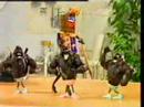 Музыка и видеоролик Cadbury's - Fruit and Nutcase Музыка и видеоролик Cadbury's - Fruit and Nutcase