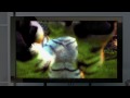 Музыка и видеоролик из рекламы игры Kinectimals - Kinect for Xbox 360