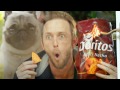 Музыка и видеоролик из рекламы Doritos - Pug Attack