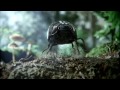 Музыка и видеоролик из рекламы Volkswagen - Black Beetle