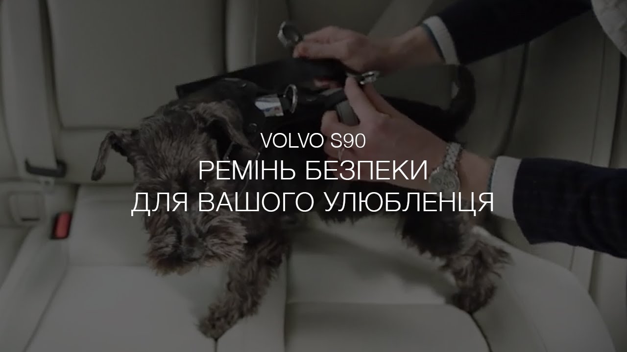 Музыка из рекламы Volvo S90 - Ремінь безпеки для вашого улюбленця