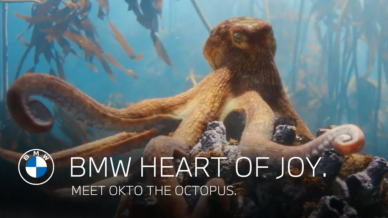 Музыка из рекламы BMW - Meet Okto the octopus Музыка из рекламы BMW - Meet Okto the octopus