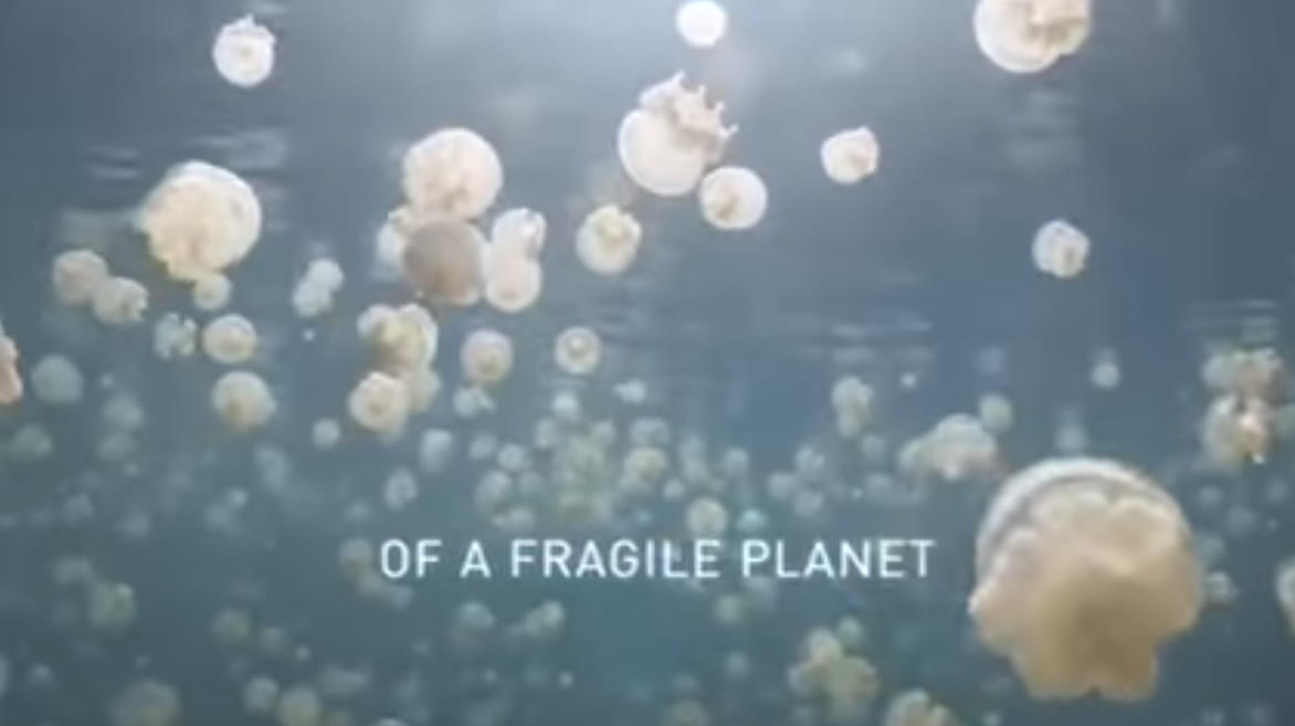 Музыка из рекламы National Geographic - Great Migrations Музыка из рекламы National Geographic - Great Migrations