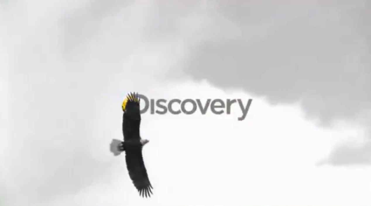Музыка из рекламы Discovery - Смертельный Улов