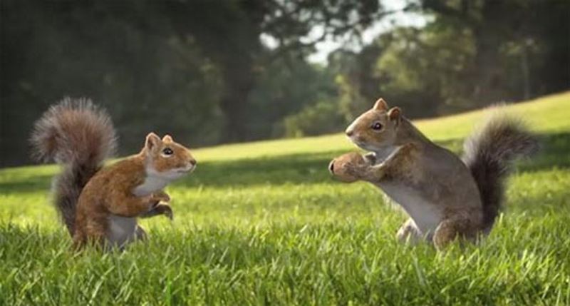 Музыка из рекламы Kit Kat - Squirrel Музыка из рекламы Kit Kat - Squirrel