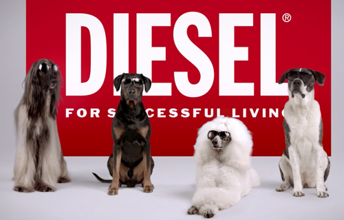 Музыка из рекламы Diesel Eyewear on Dogs Музыка из рекламы Diesel Eyewear on Dogs