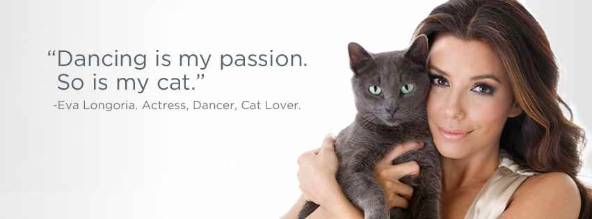 Музыка из рекламы Sheba - Follow Your Passion (Eva Longoria)