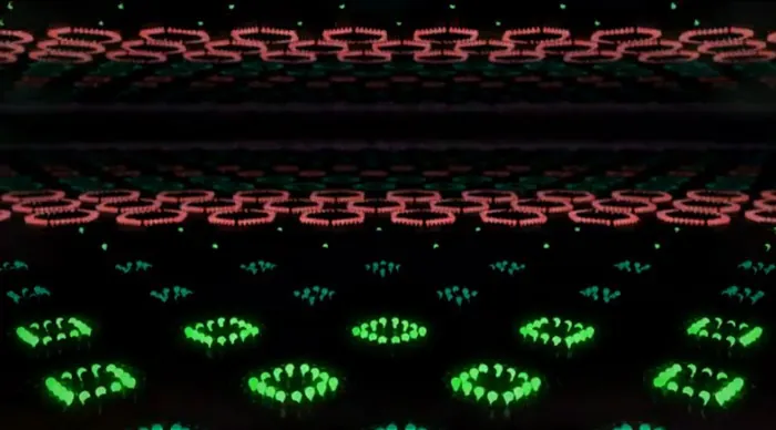 Louis Vuitton - Infinity Borders