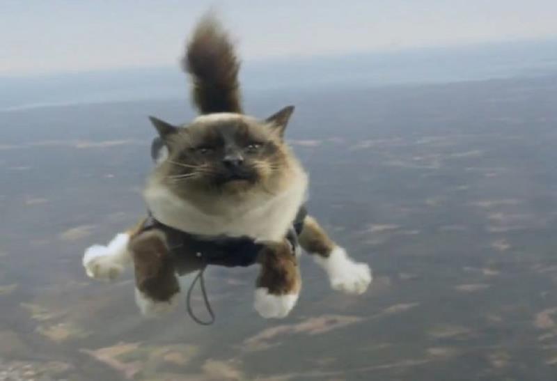 Музыка из рекламы Folksam - Parachuting cats