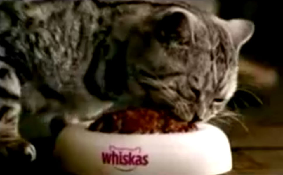 Музыка из рекламы Whiskas - Pure Magic