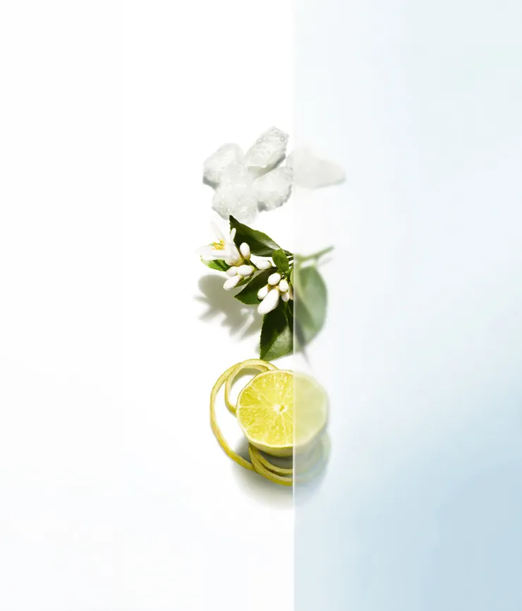 Dior Homme Cologne Dior Homme Cologne